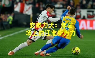 安徽力天：绿茵场上的江淮新势力