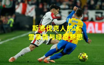 斯洛伐克人的冰雪豪情与绿茵梦想